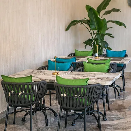 Complex Sea Star 2mai دووا مايْ