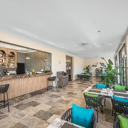 Complex Sea Star 2mai دووا مايْ